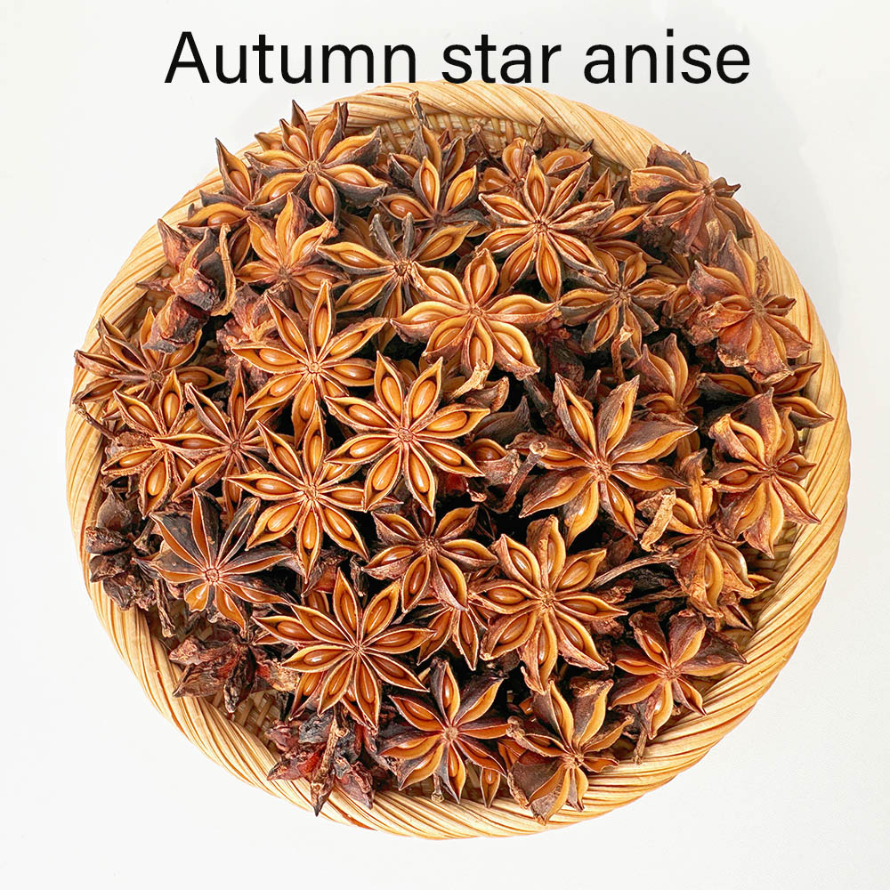 star anise  Autumn